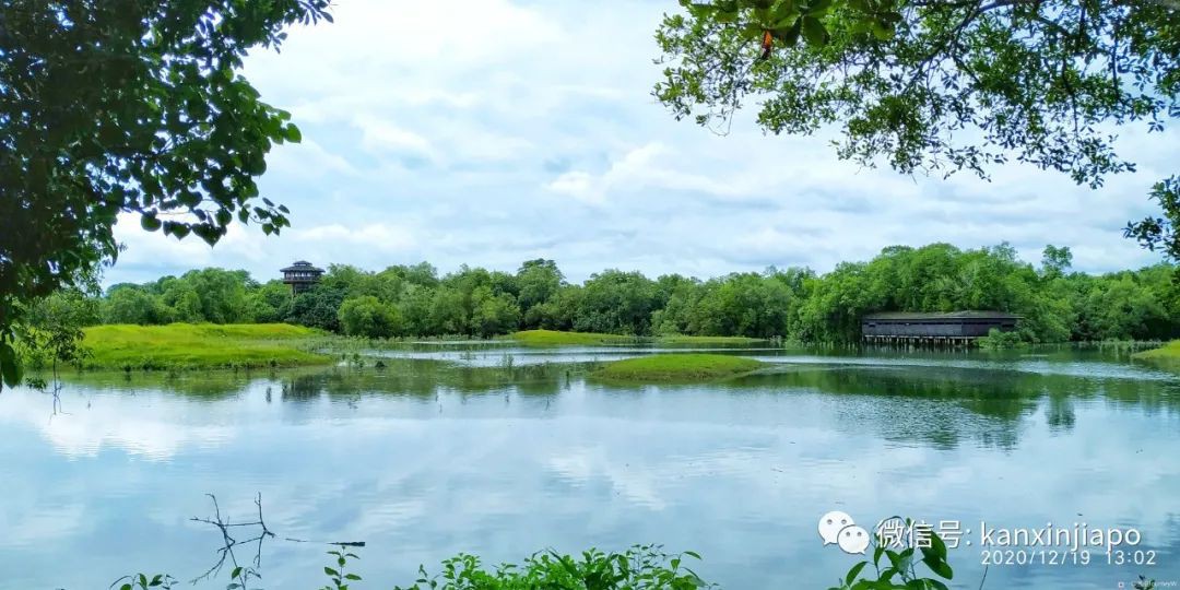 双溪布洛湿地公园，新加坡西部周末休闲的好去处