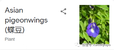 來自天空的誘惑:美景與天空果凍制作教程