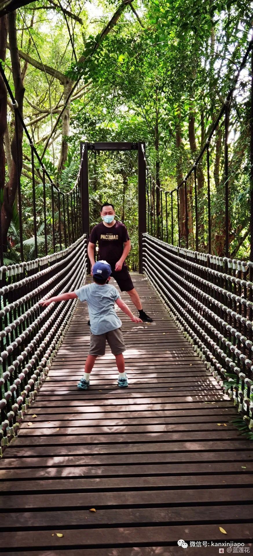 解鎖新加坡遛娃寶藏地:世界遺産植物園之兒童樂園