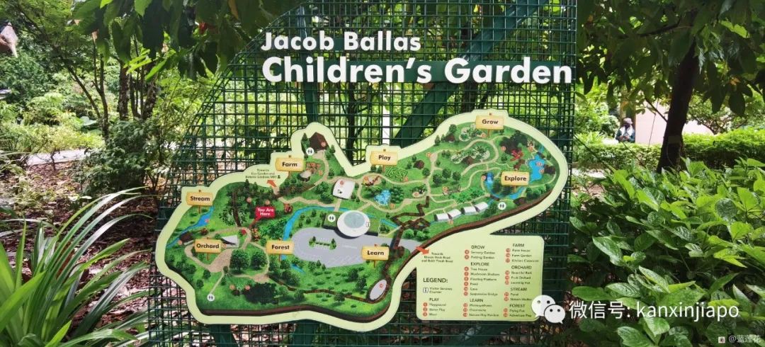 解锁新加坡遛娃宝藏地：世界遗产植物园之儿童乐园