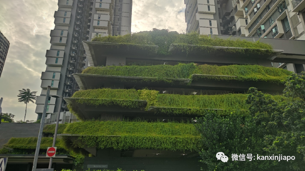 跟林俊杰同框的新加坡网红组屋长啥样？