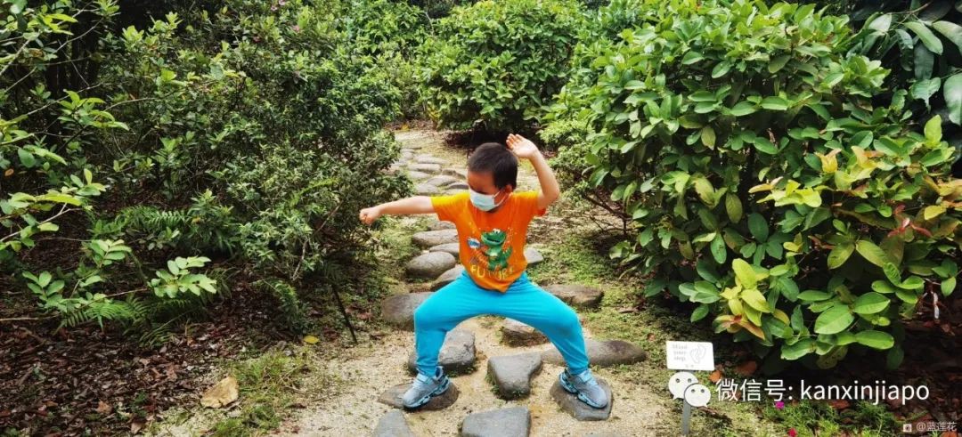 解鎖新加坡遛娃寶藏地:世界遺産植物園之兒童樂園