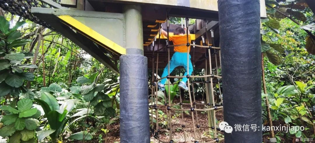 解鎖新加坡遛娃寶藏地:世界遺産植物園之兒童樂園