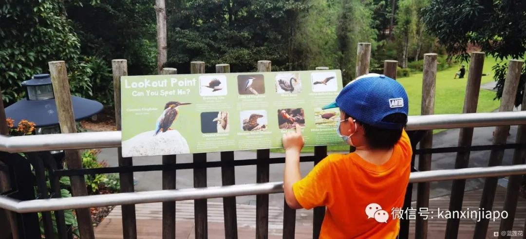 解鎖新加坡遛娃寶藏地:世界遺産植物園之兒童樂園