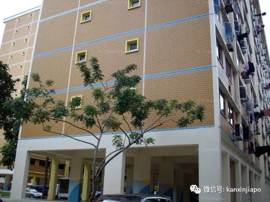 來新加坡後不幸染冠病,孕婦、客工直播間求助