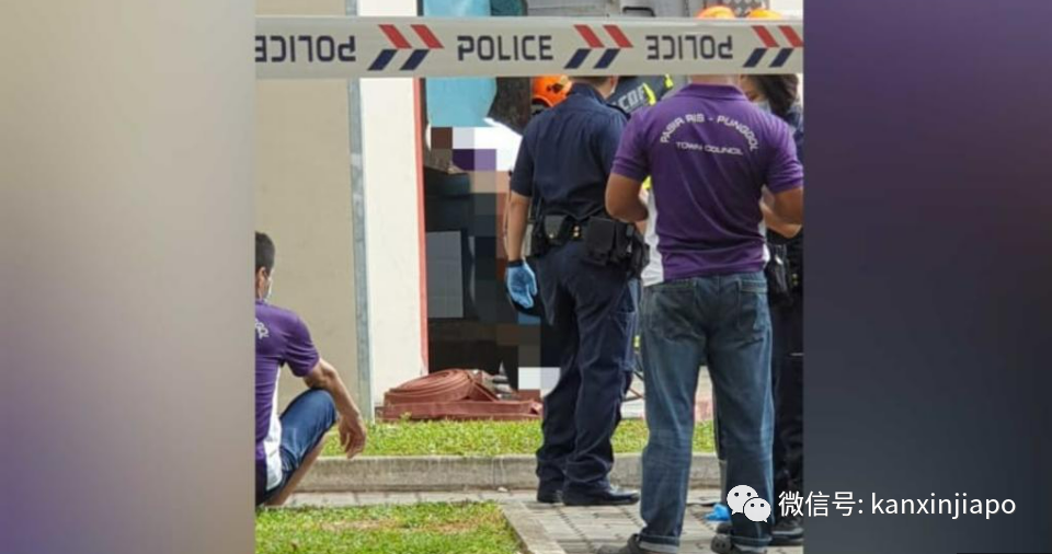 脑袋绞进垃圾捣碎机，新加坡清洁工惨死组屋楼下