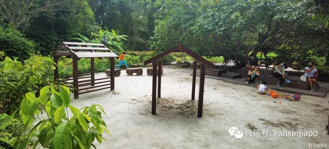 解鎖新加坡遛娃寶藏地:世界遺産植物園之兒童樂園