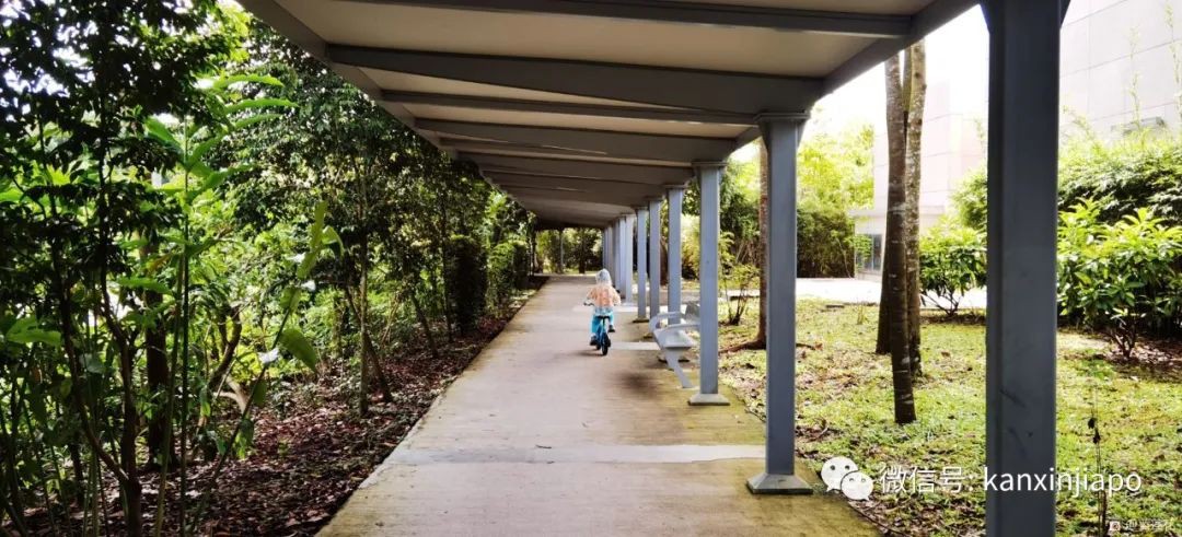 解鎖新加坡遛娃寶藏地：世界遺産植物園之兒童樂園