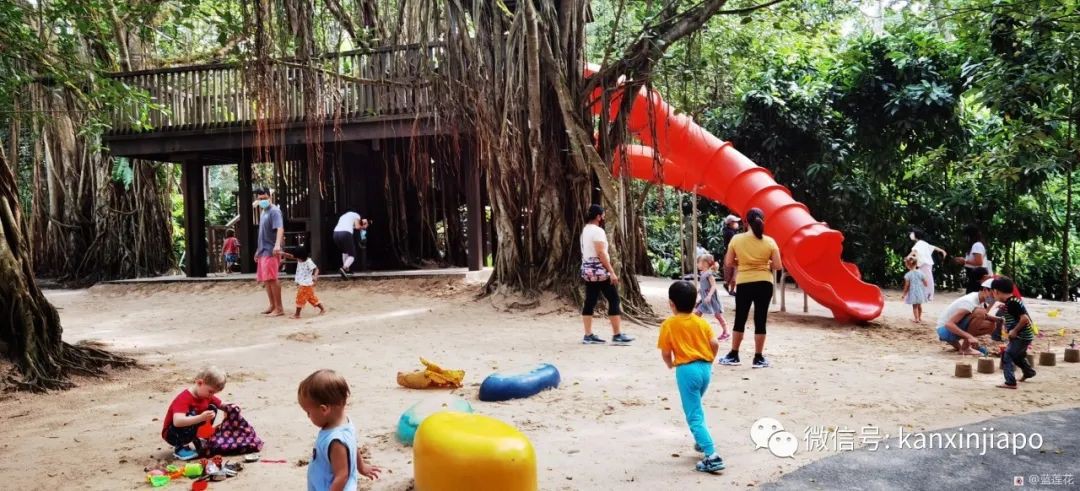 解鎖新加坡遛娃寶藏地:世界遺産植物園之兒童樂園