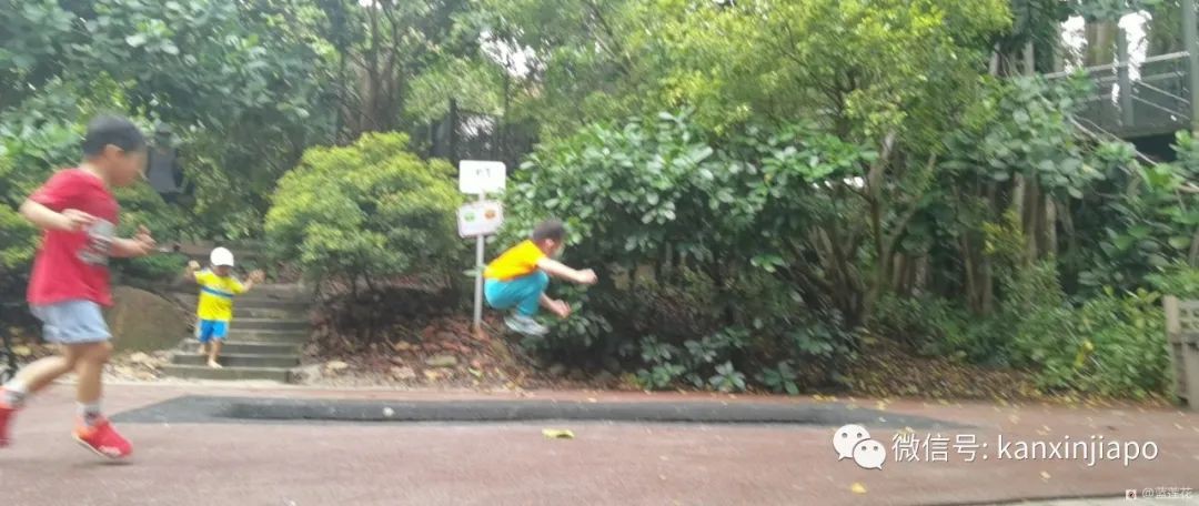 解鎖新加坡遛娃寶藏地:世界遺産植物園之兒童樂園