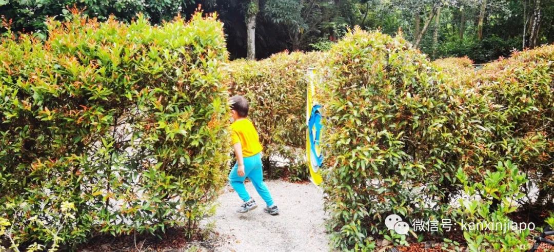 解鎖新加坡遛娃寶藏地:世界遺産植物園之兒童樂園