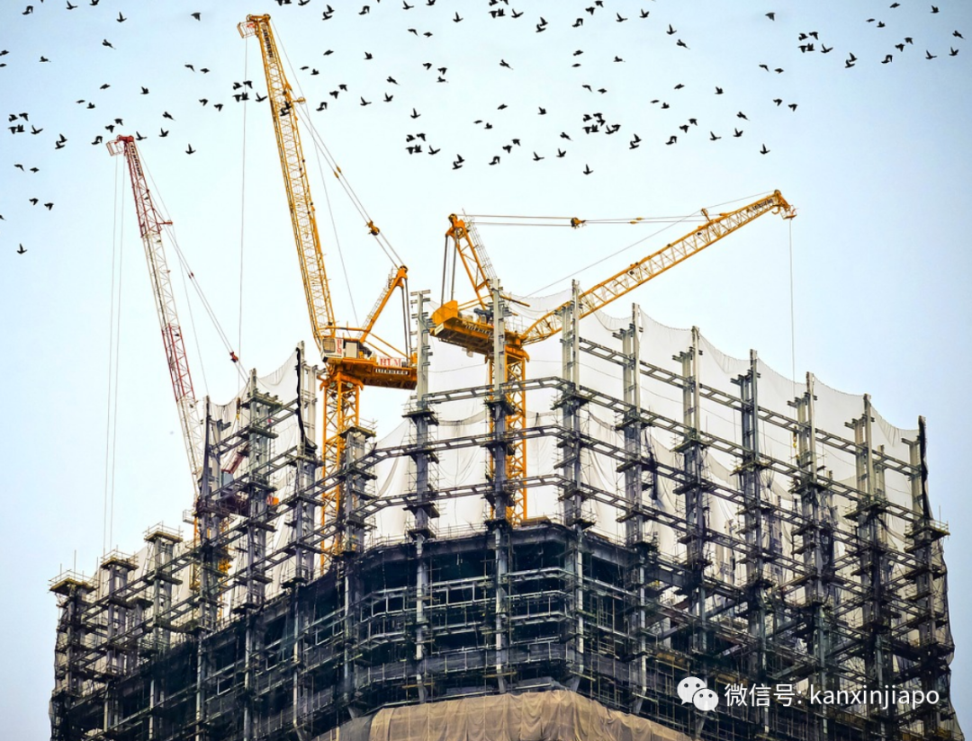 “來新加坡當客工的第一天,就體會到深深的無力感……”