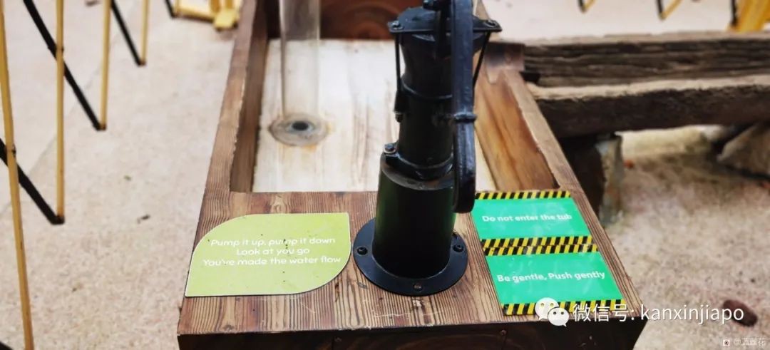 解鎖新加坡遛娃寶藏地:世界遺産植物園之兒童樂園