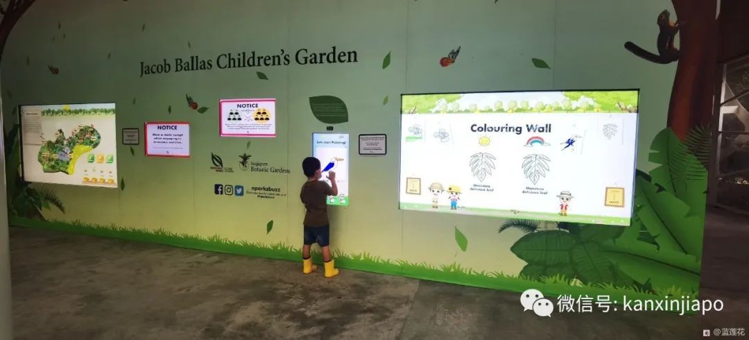 解锁新加坡遛娃宝藏地：世界遗产植物园之儿童乐园