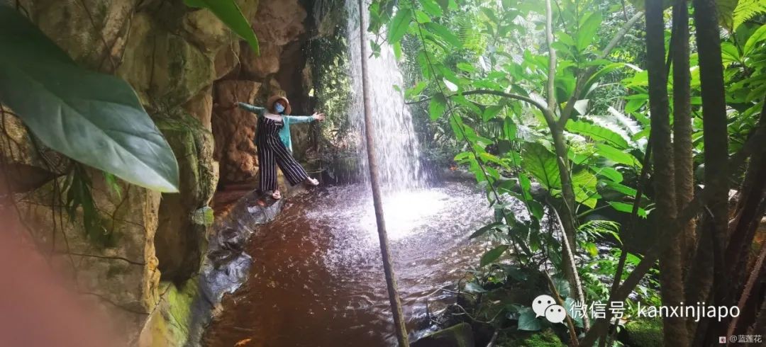 解鎖新加坡遛娃寶藏地:世界遺産植物園之兒童樂園