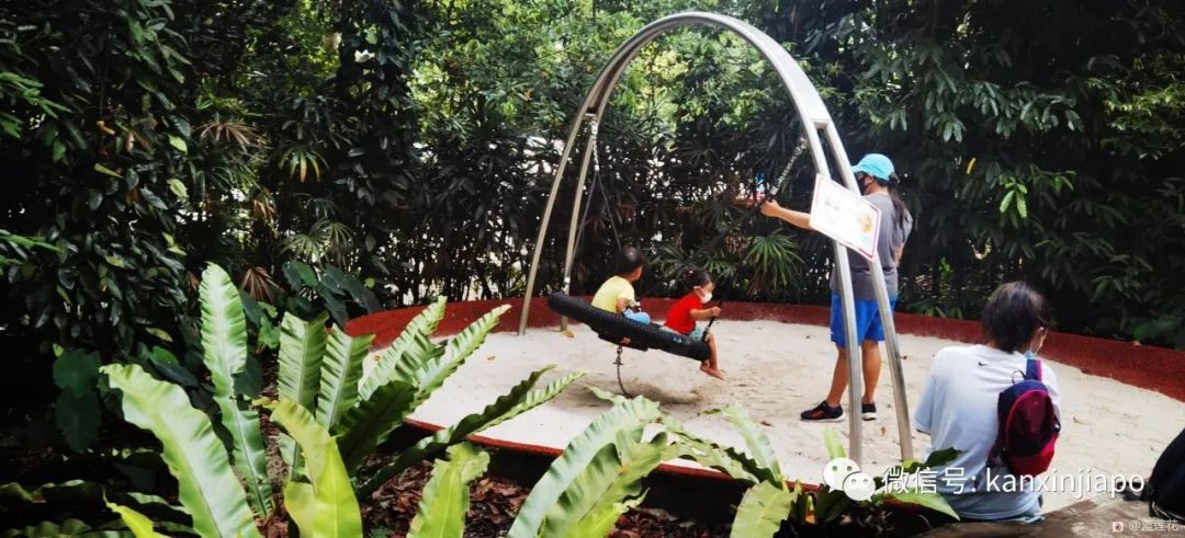 解鎖新加坡遛娃寶藏地:世界遺産植物園之兒童樂園