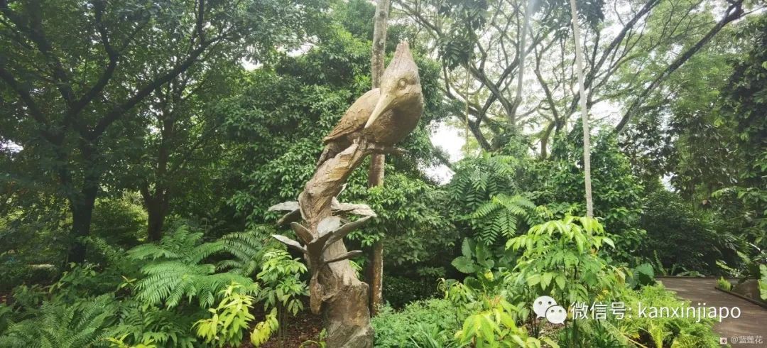 解鎖新加坡遛娃寶藏地:世界遺産植物園之兒童樂園