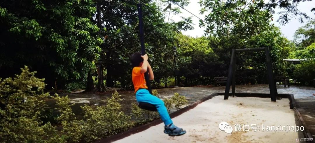 解鎖新加坡遛娃寶藏地:世界遺産植物園之兒童樂園