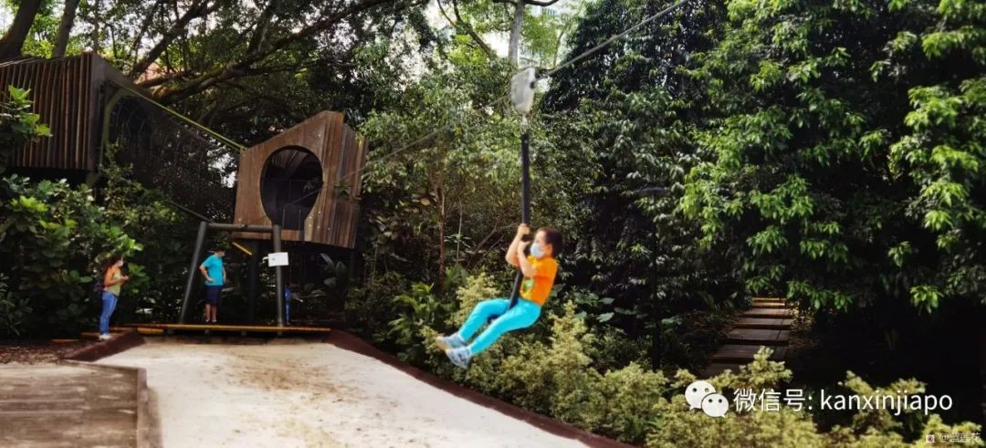 解鎖新加坡遛娃寶藏地:世界遺産植物園之兒童樂園