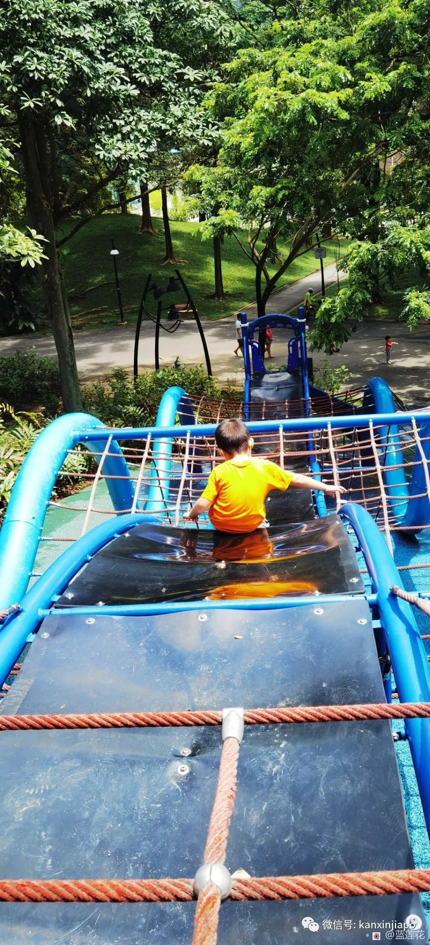 遛娃聖地海軍部公園,超多大滑梯,大人孩子一起嗨~