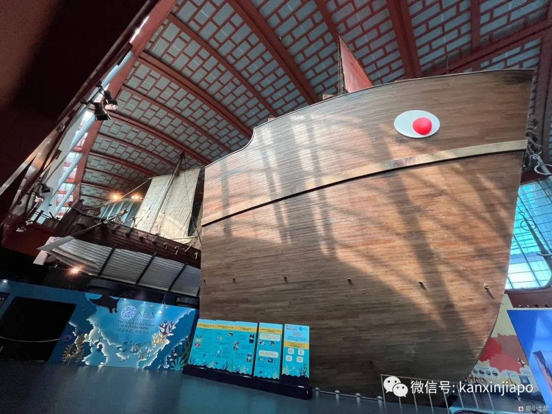 亚洲最大的海洋馆，原来在新加坡！