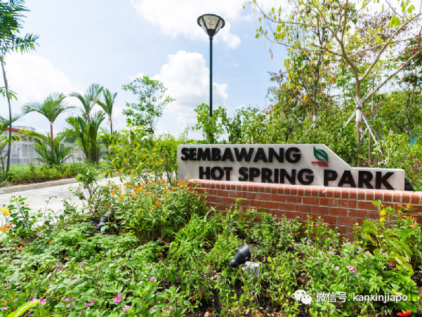 新加坡唯一的天然温泉，原来藏在这个免费的“网红”公园里
