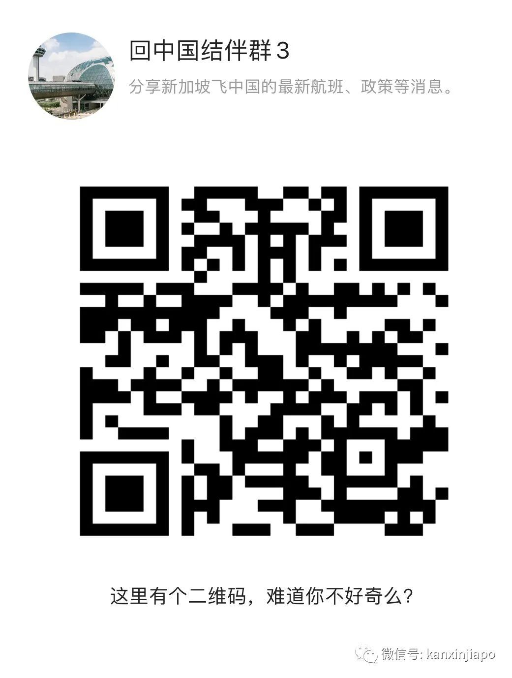 中国驻新加坡大使馆发布最新赴华通知,网友们众说纷纭...