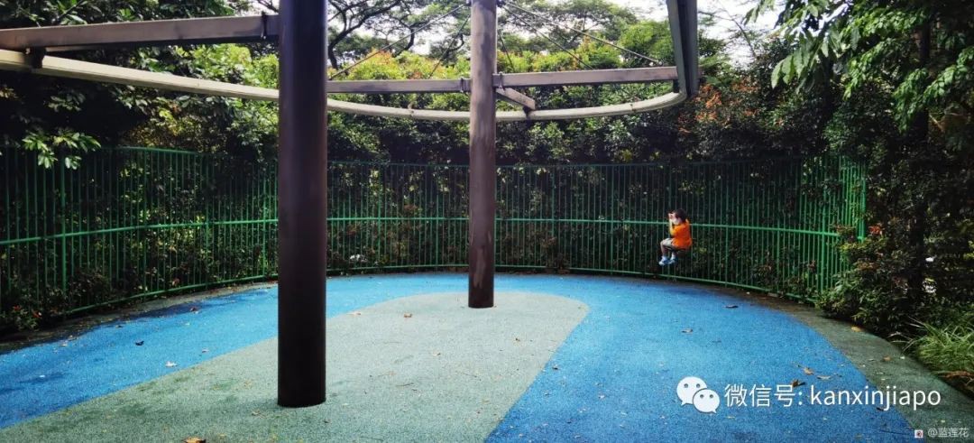 遛娃聖地海軍部公園,超多大滑梯,大人孩子一起嗨~