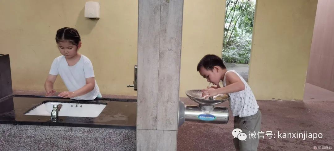 遛娃聖地海軍部公園,超多大滑梯,大人孩子一起嗨~