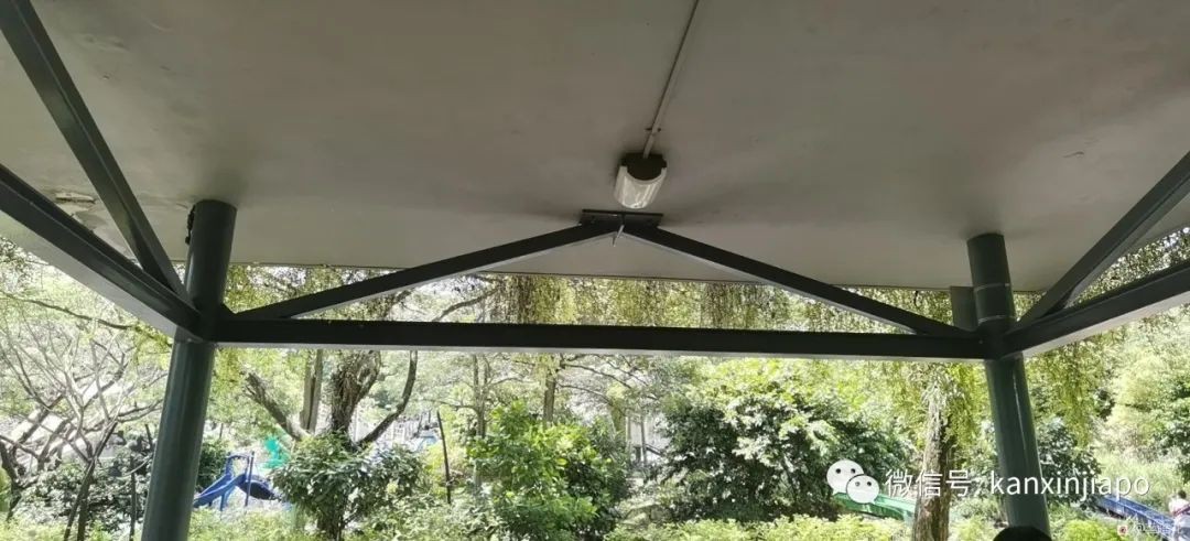 遛娃聖地海軍部公園,超多大滑梯,大人孩子一起嗨~