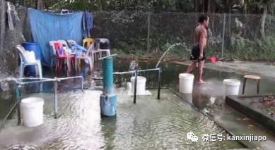 新加坡唯一的天然溫泉，原來藏在這個免費的“網紅”公園裏