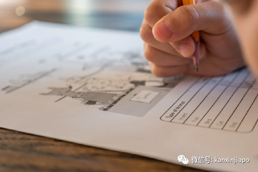 新加坡家长最“怕输”，掏钱让孩子补习率竟然全球最高！