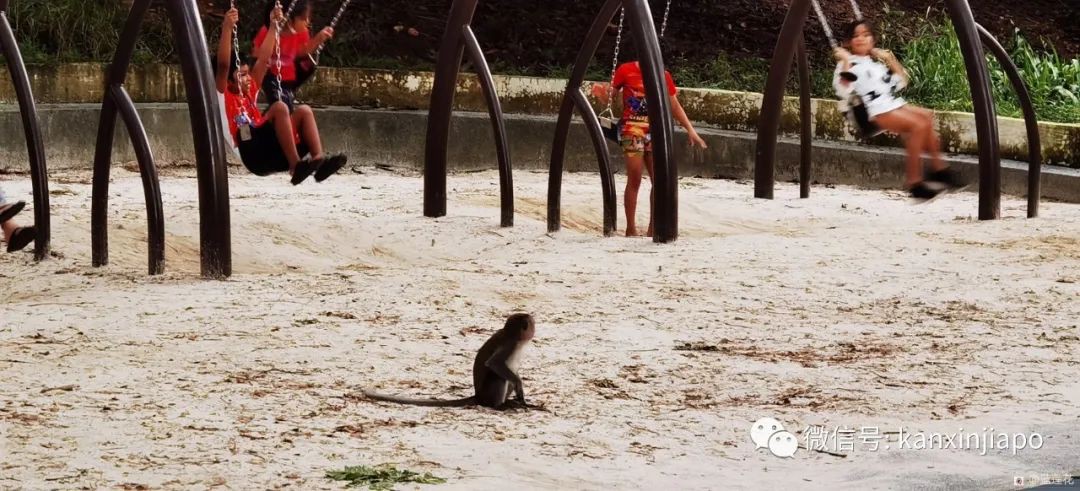 遛娃聖地海軍部公園,超多大滑梯,大人孩子一起嗨~