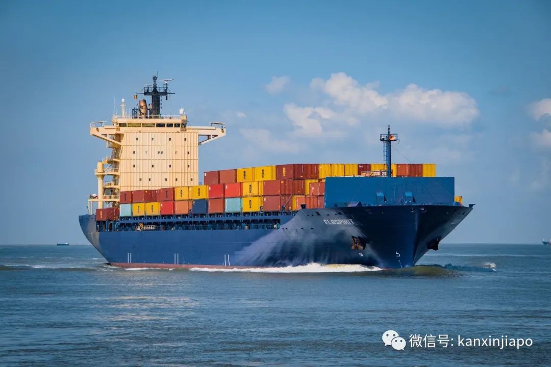 双十一全球购物狂欢，6家可靠的跨国集运供你选择