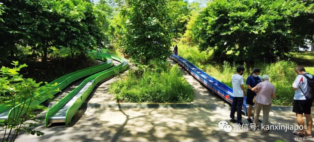 遛娃聖地海軍部公園,超多大滑梯,大人孩子一起嗨~