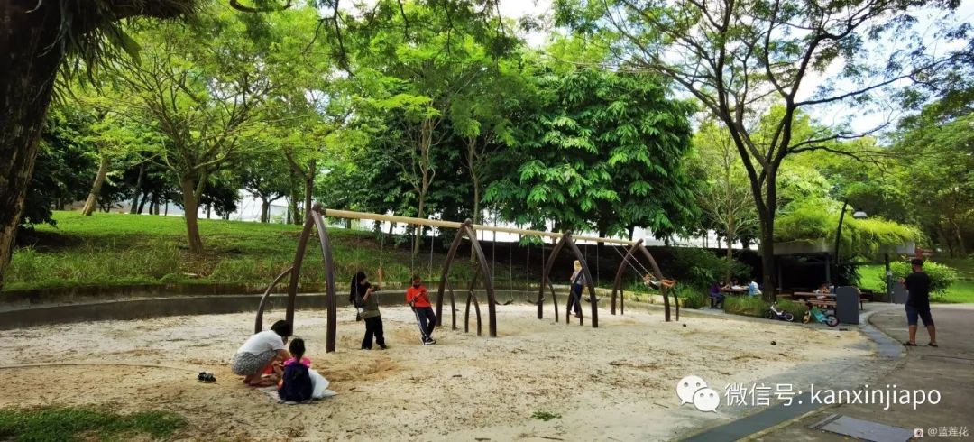 遛娃聖地海軍部公園,超多大滑梯,大人孩子一起嗨~