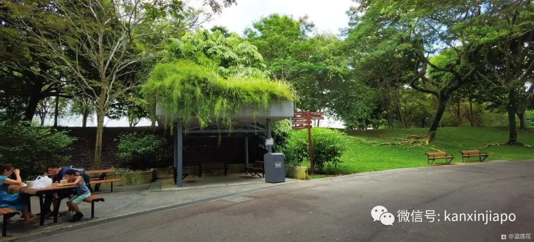 遛娃聖地海軍部公園,超多大滑梯,大人孩子一起嗨~