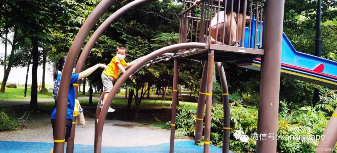 遛娃聖地海軍部公園,超多大滑梯,大人孩子一起嗨~