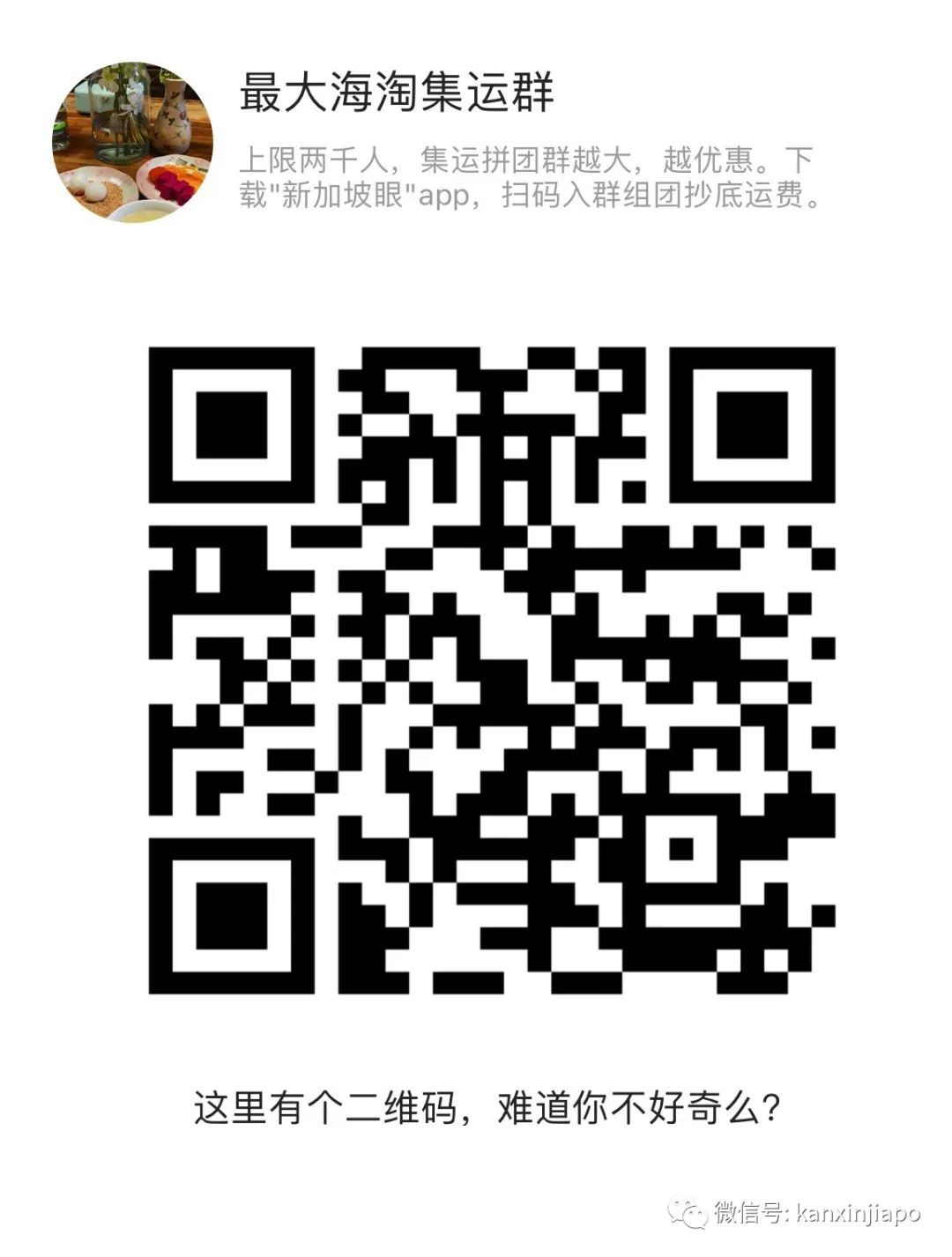 双十一全球购物狂欢,6家可靠的跨国集运供你选择