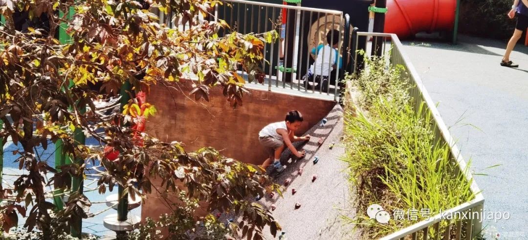 遛娃聖地海軍部公園,超多大滑梯,大人孩子一起嗨~