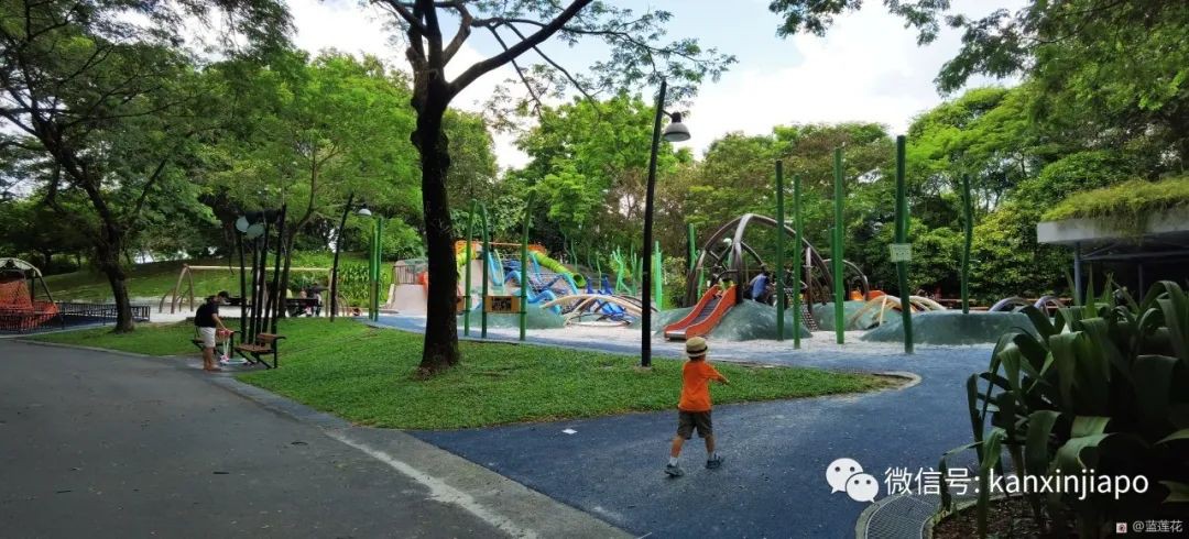 遛娃聖地海軍部公園,超多大滑梯,大人孩子一起嗨~