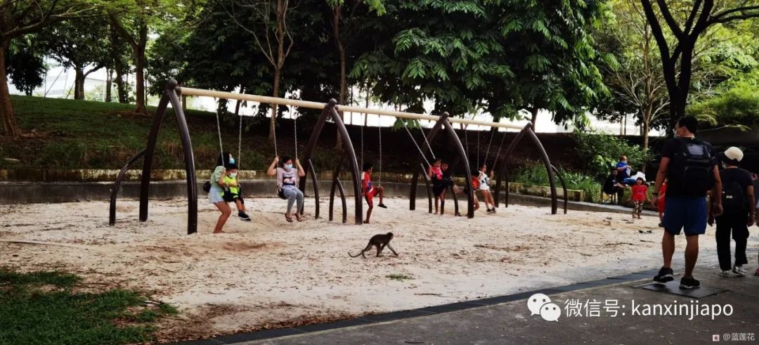 遛娃聖地海軍部公園,超多大滑梯,大人孩子一起嗨~