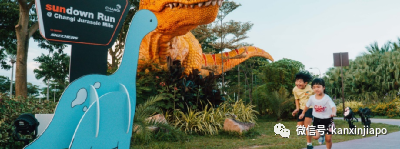 40不惑!疫情下樟宜機場爲大家創造快樂,有這麽多活動你知道嗎?