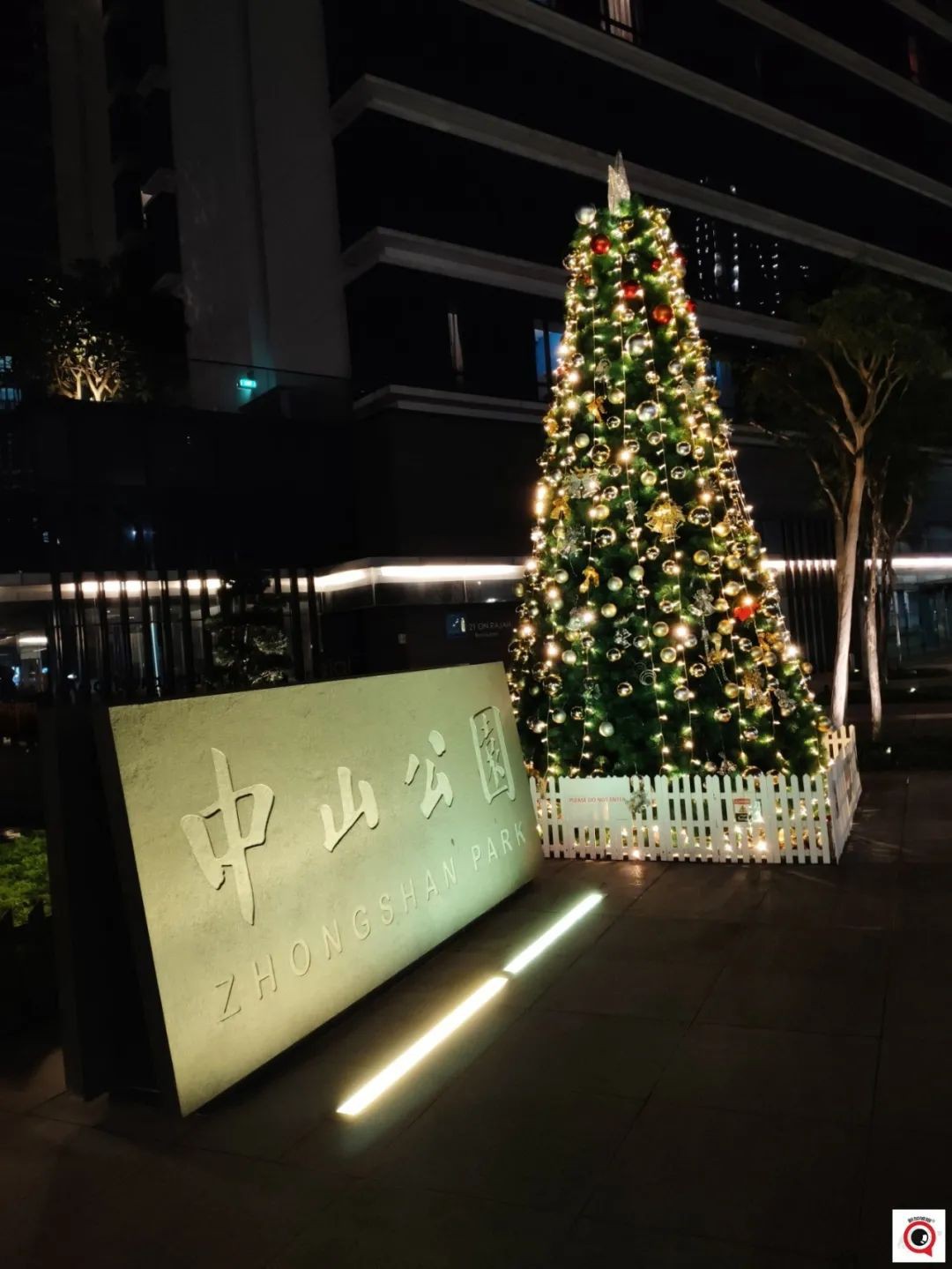 烏節路聖誕裝飾實拍!全新加坡2021年最美聖誕樹即將揭曉