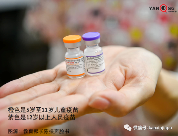 儿童不打疫苗，感染奥密克戎住院率上升；新加坡小学生踊跃预约接种