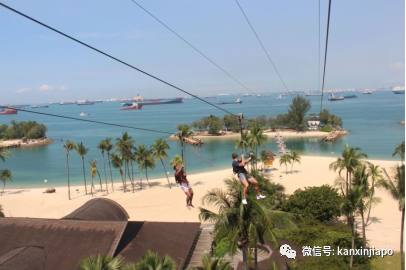 关于新加坡，你可能一无所知