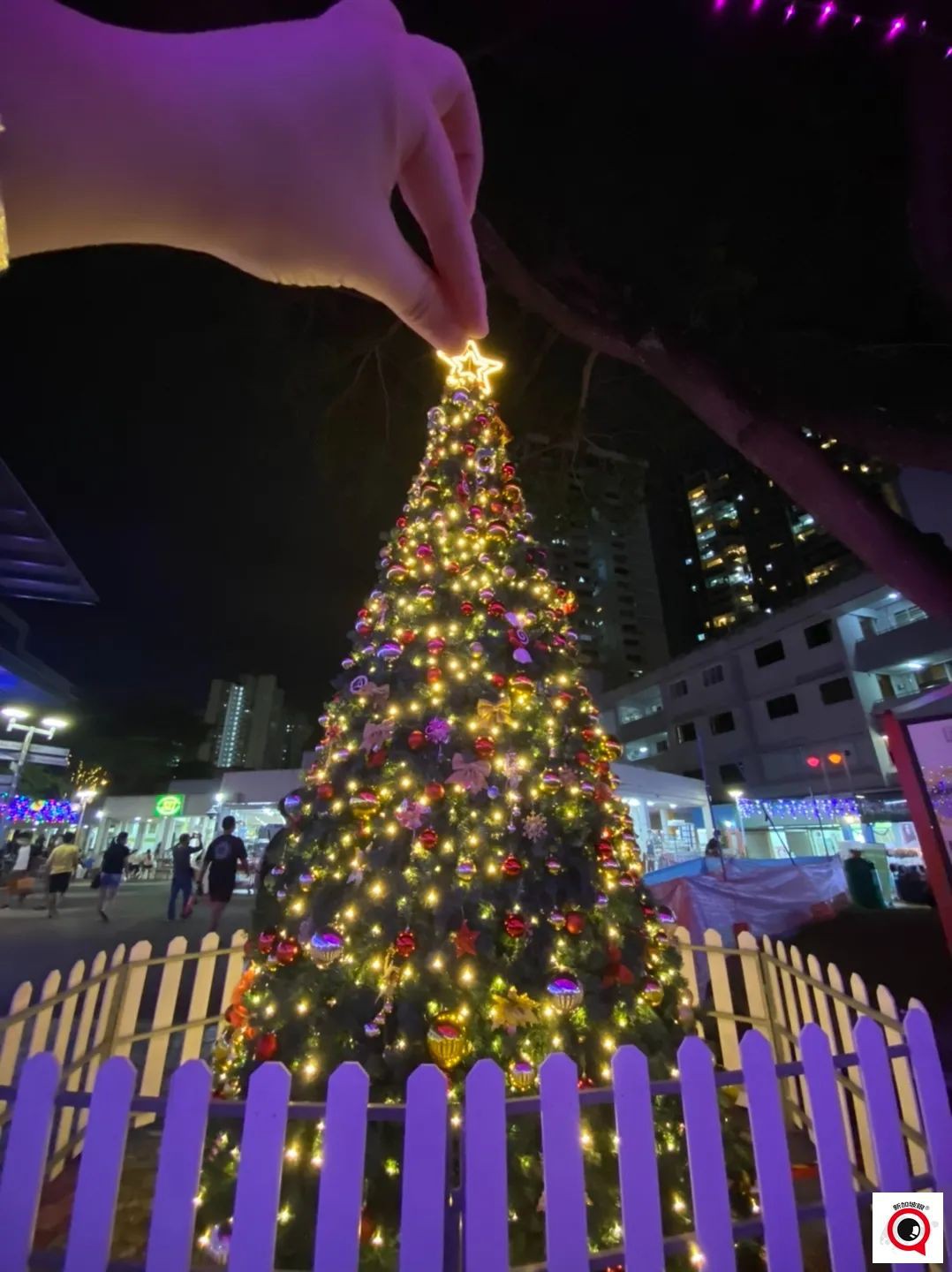 多图美炸！新加坡2021年圣诞树哪里的最好看？