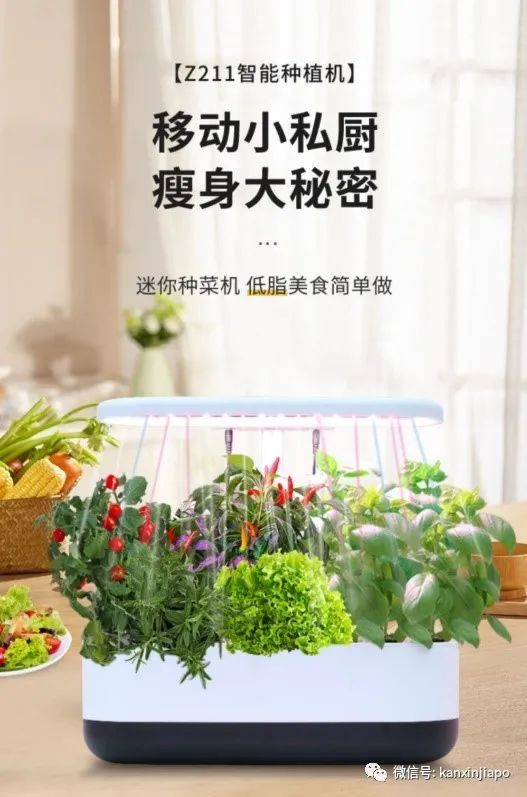 还有人不知道淘宝有百万好货满¥299跨境段包邮新加坡?