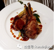圣诞大餐在哪吃最过瘾？新加坡夜间野生动物园的帐篷晚宴等着你