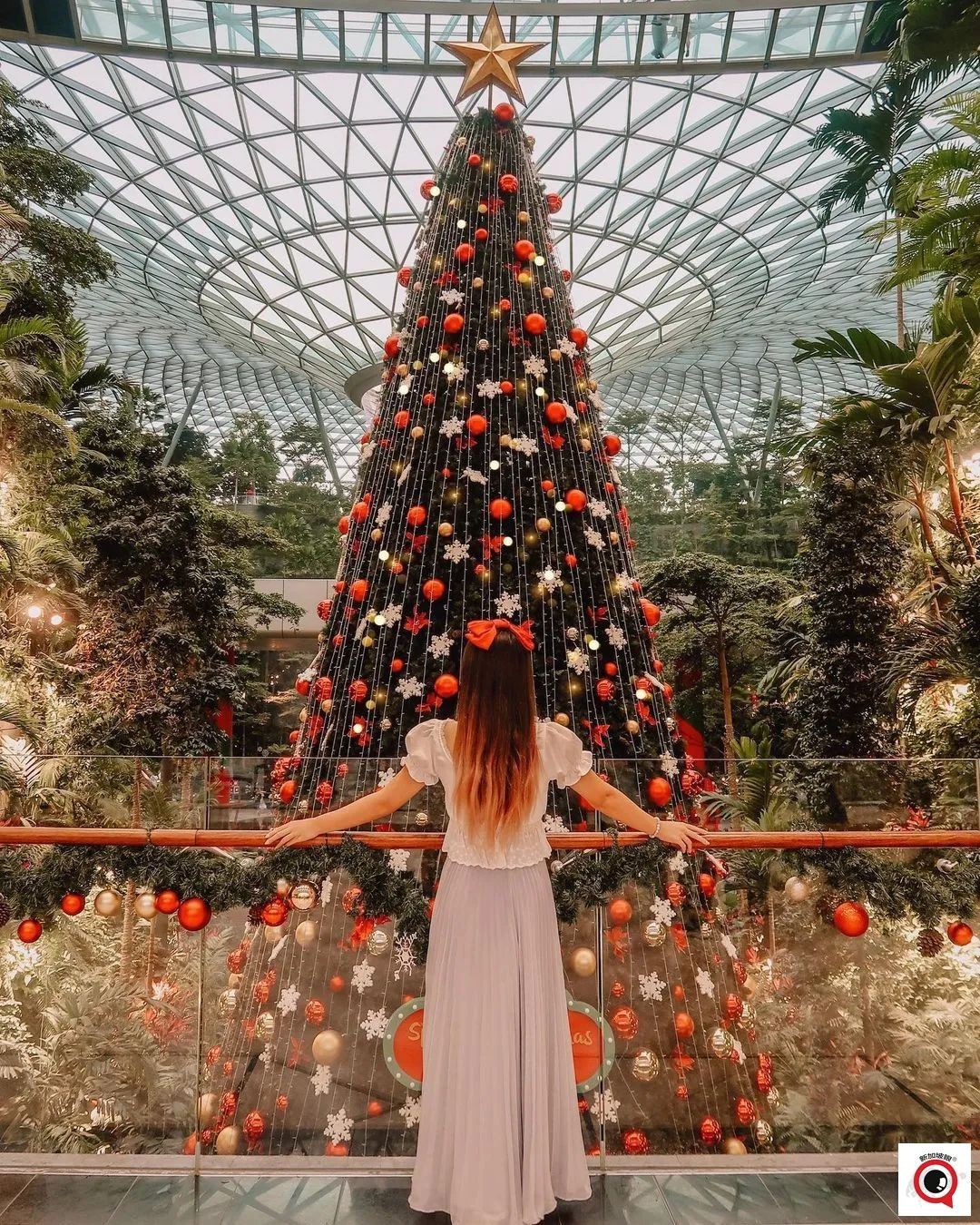 烏節路聖誕裝飾實拍!全新加坡2021年最美聖誕樹即將揭曉